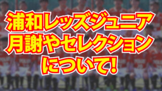浦和レッズジュニアユースの月謝やセレクションについてのまとめ Camisa8のブログ